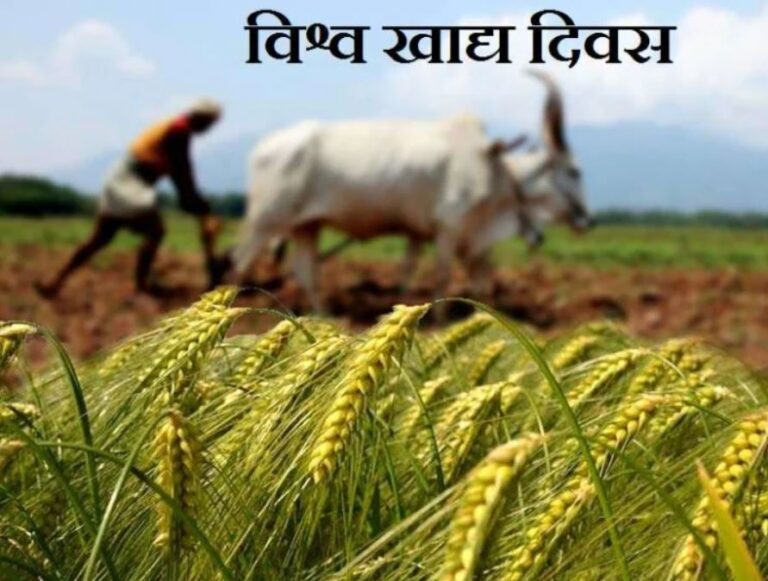 विश्व खाद्य दिवस पर संकल्प: भोजन की बर्बादी रोकें, पौष्टिक आहार को बढ़ावा दें