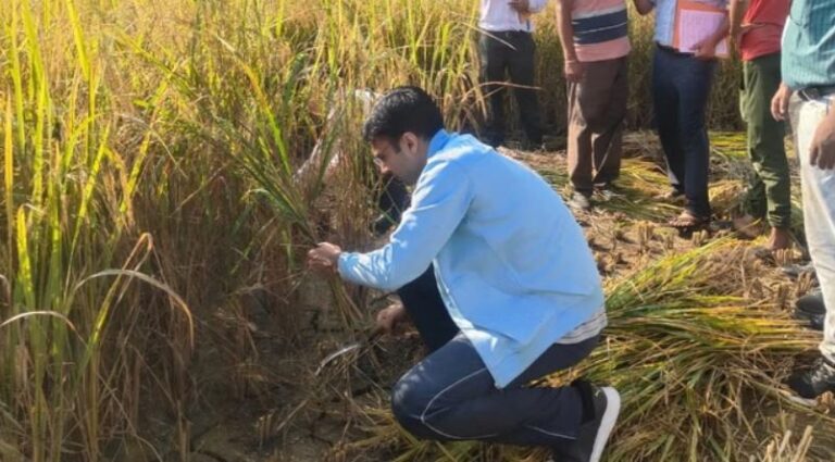 प्रशासनिक जिम्मेदारी के साथ खेतों की मेहनत में भी आगे डीएम सविन बंसल