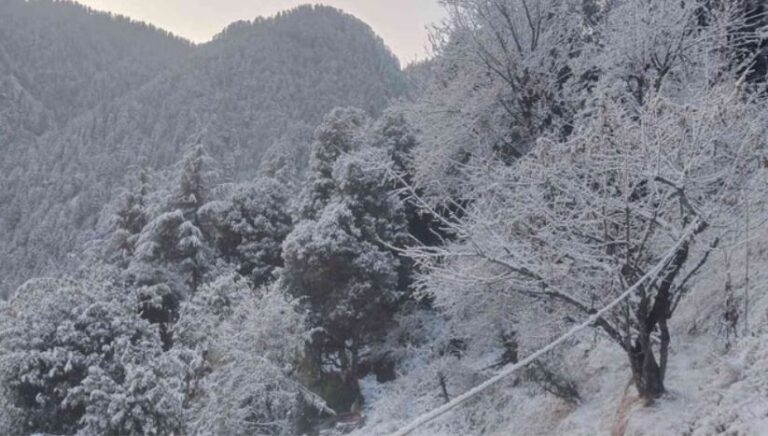 सर्दी की आहट तेज, उत्तराखंड में 22 अक्टूबर को बर्फबारी के आसार